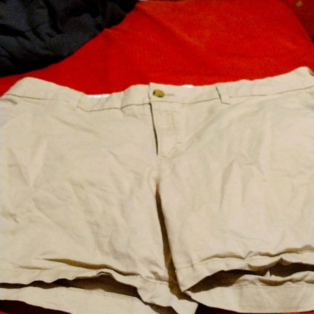 Female khakisTan shorts  no rips,no holes in good shape